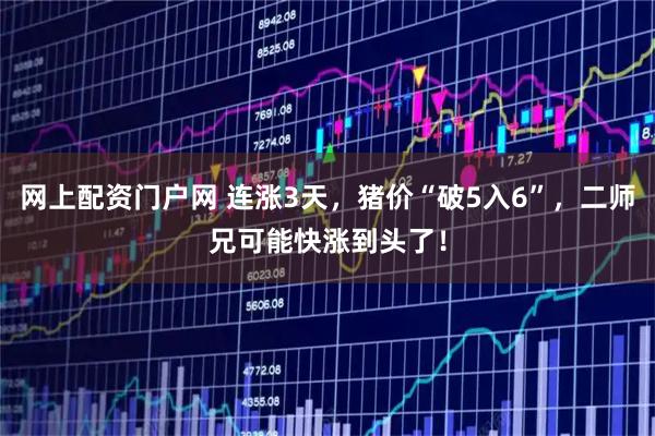 网上配资门户网 连涨3天，猪价“破5入6”，二师兄可能快涨到头了！