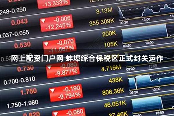 网上配资门户网 蚌埠综合保税区正式封关运作